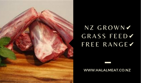FRESH LAMB SHANKS