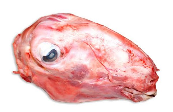 LAMB HEAD (FROZEN)